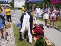 Piknik PCOM (46)