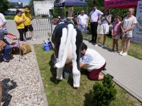 Piknik PCOM (45)