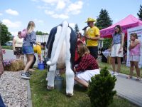 Piknik PCOM (42)