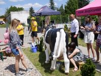 Piknik PCOM (37)