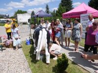 Piknik PCOM (35)
