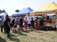 V Spartakiada KGW  (141)