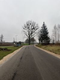 Droga powiatowa nr 2360W Drzazga – Siemiątkowo Rogale (2)