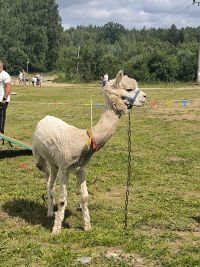 IMG_20250628_141231