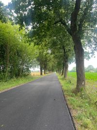 Remont drogi powiatowej nr 2345W na odcinku Stare Kosiny  – droga wojewódzka nr 587 (2)