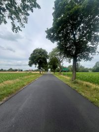 Remont drogi powiatowej nr 2345W na odcinku Stare Kosiny  – droga wojewódzka nr 587 (3)
