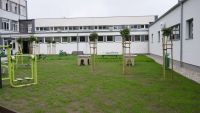 Zagospodarowanie przestrzeni na potrzeby infrastruktury sportowo-rekreacyjnej przyszkolnej przy Zespole Szkół Nr 4 w Mławie...