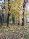 Park mławski jesienią/Mława park in Autumn