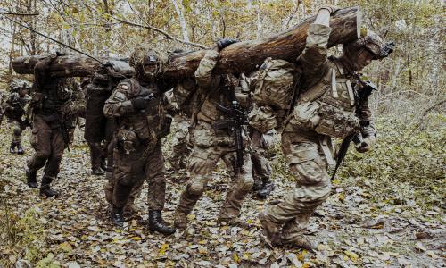 Terytorialsi walczyli z sojusznikami z NATO