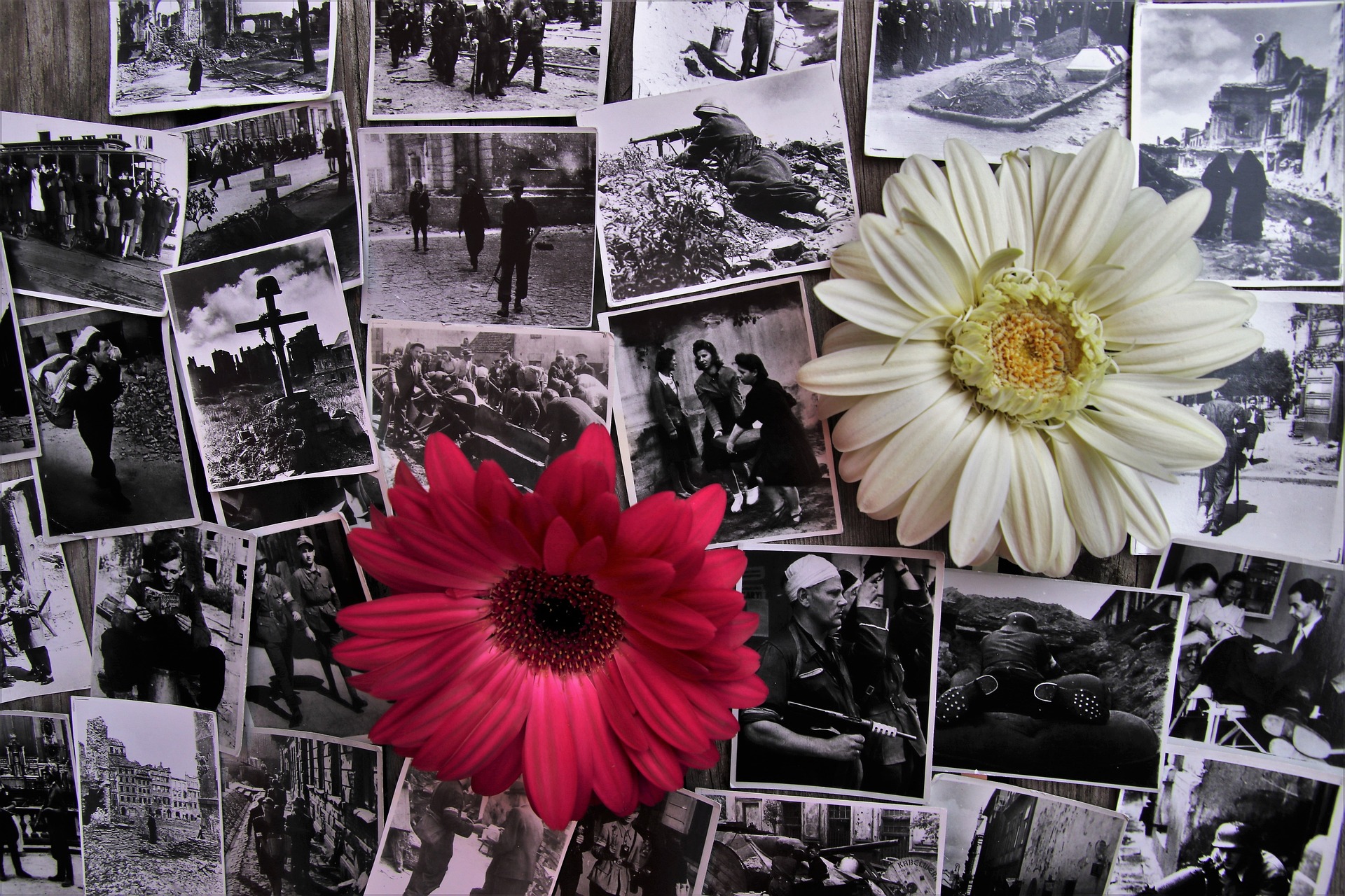 Fotografie z powstania, autor: pasja1000 z pixabay