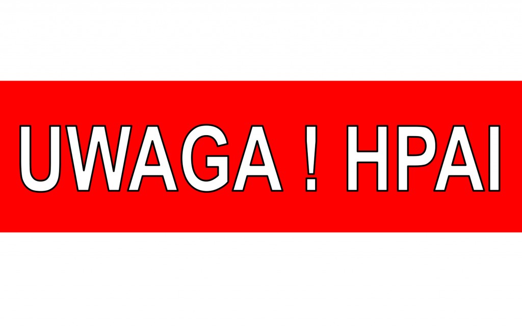 UWAGA! HPAI!