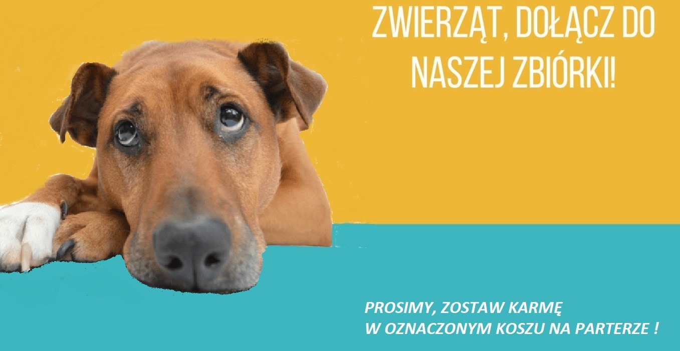 Zbiórka karmy dla psów