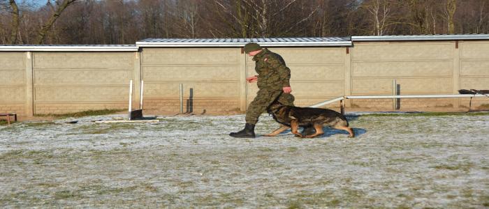 5 Mazowiecka Brygada Obrony Terytorialnej rozpoczyna program „GPR K9 WOT”